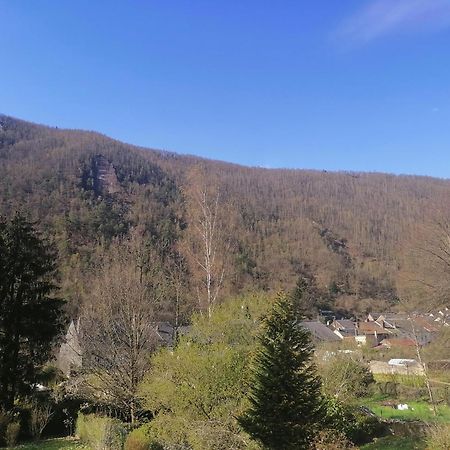 Monthermé Chez Many, Par Fred Et Henri Bed & Breakfast エクステリア 写真