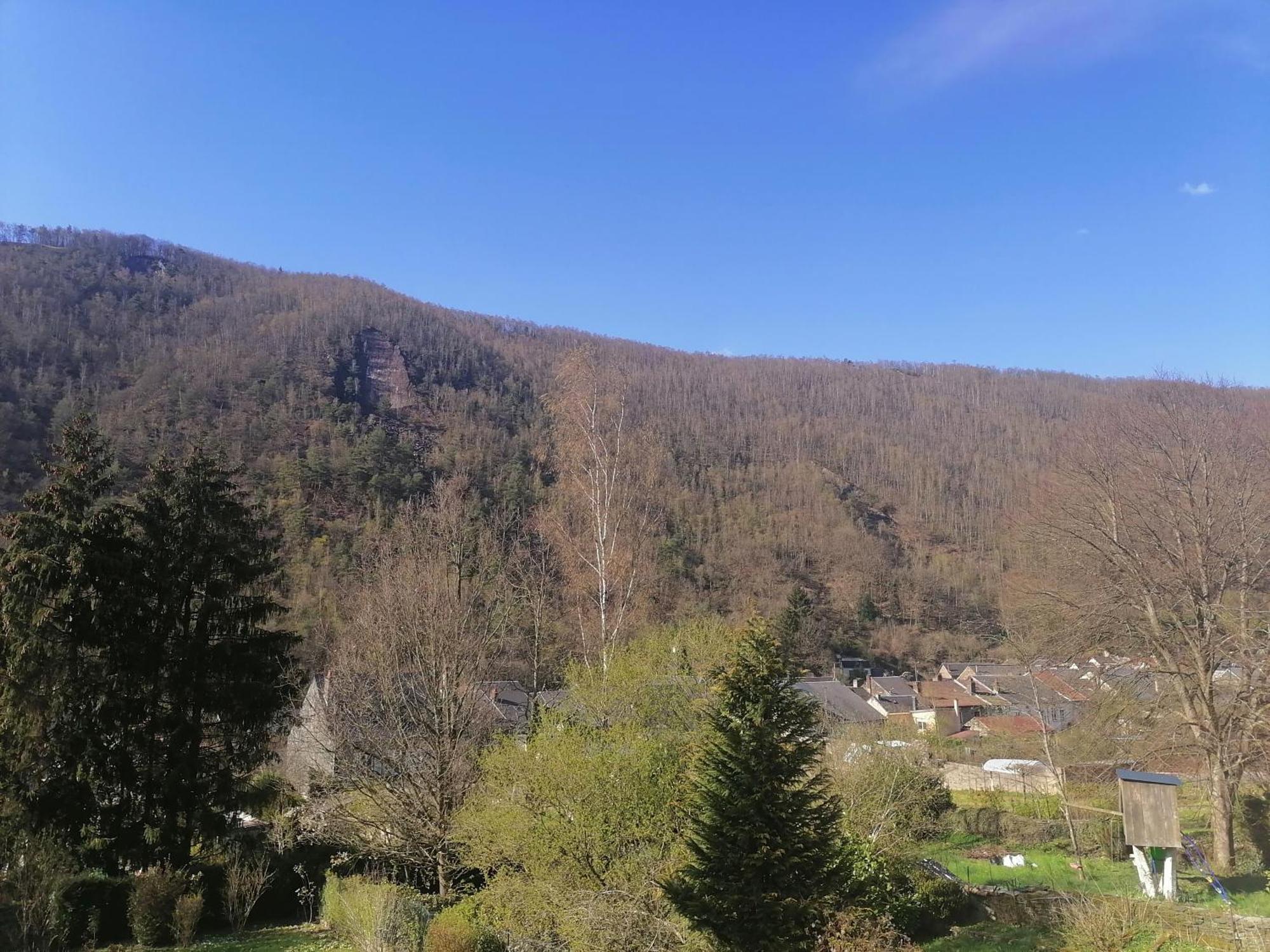 Monthermé Chez Many, Par Fred Et Henri Bed & Breakfast エクステリア 写真